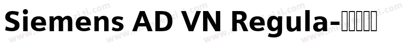 Siemens AD VN Regula字体转换